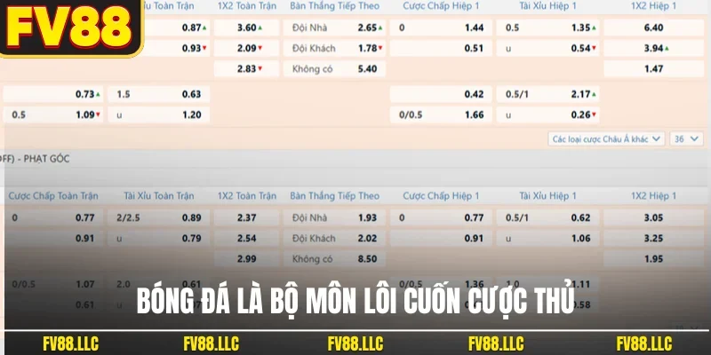 Bóng đá là bộ môn lôi cuốn cược thủ