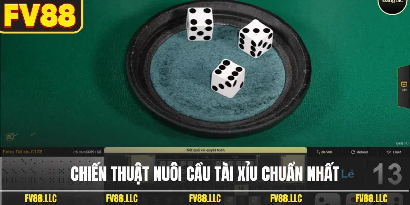 Chiến thuật nuôi cầu tài xỉu chuẩn nhất