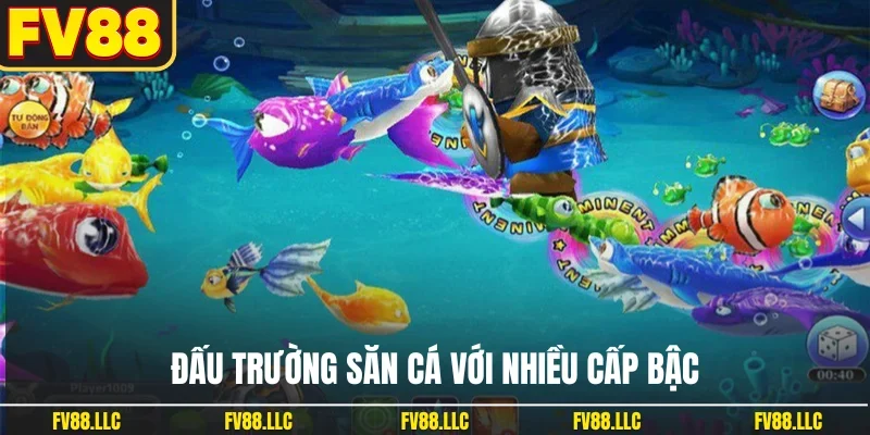 Đấu trường săn cá với nhiều cấp bậc