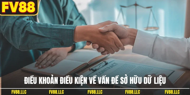 Điều khoản điều kiện về vấn đề sở hữu dữ liệu