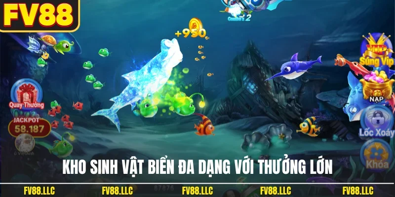Kho sinh vật biển đa dạng với thưởng lớn