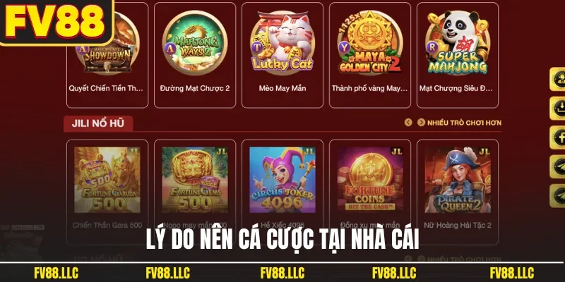 Lý do nên cá cược tại nhà cái