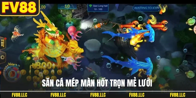 Săn cá mép màn hốt trọn mẻ lưới