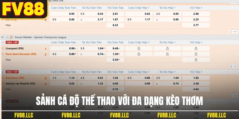 Sảnh cá độ thể thao với đa dạng kèo thơm