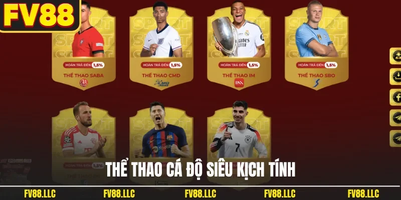 Thể thao cá độ siêu kịch tính