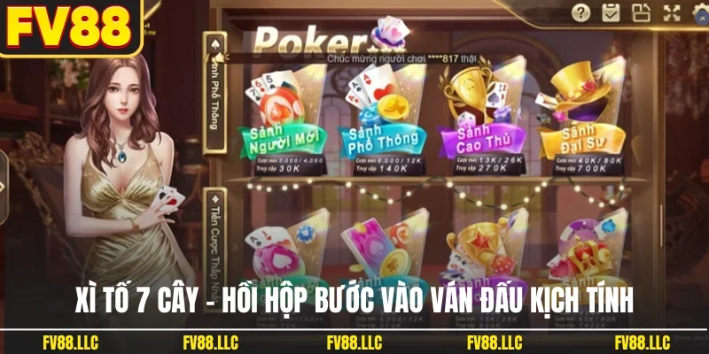 Xì tố 7 cây
